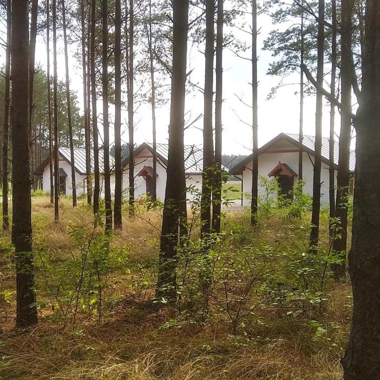 Zurawia Polana Villa Swietajno  Luaran gambar